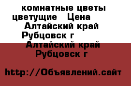 комнатные цветы цветущие › Цена ­ 80 - Алтайский край, Рубцовск г.  »    . Алтайский край,Рубцовск г.